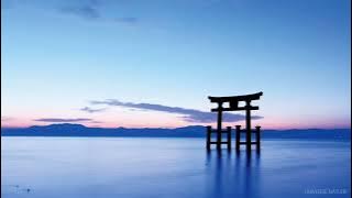 A Long Journey | Mia Liu