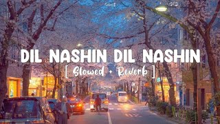 Dil Nashin Dil Nashin - [ Slowed   Reverb ]