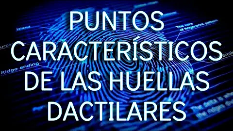 ¿Cuáles son los 4 tipos de huellas dactilares?