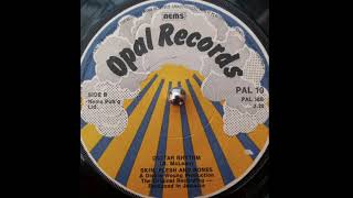 Skin, Flesh & Bones feat. Ranchie - Man Come, Man Go & Guitar Rythm (Opal Records) 1975
