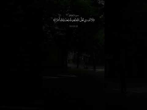 لا تدري لعل الله يحدث بعد ذلك امرا سوره الطلاق قران قران كريم عبدالرحمن مسعد