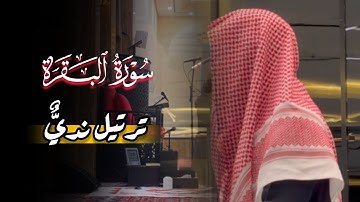 تلاوة خاشعة من تسابق الجمال ما تيسر من سورة البقرة للقارئ عبدالرحمن الماجد | 12-10-1445 هـ