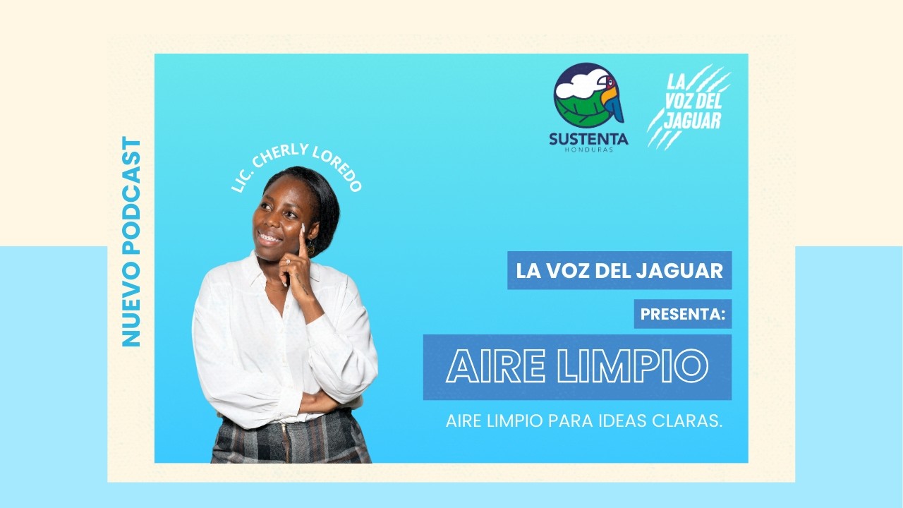 Tecnología e Investigación por un Futuro Sostenible: Medidor de Calidad del Aire en UNITEC