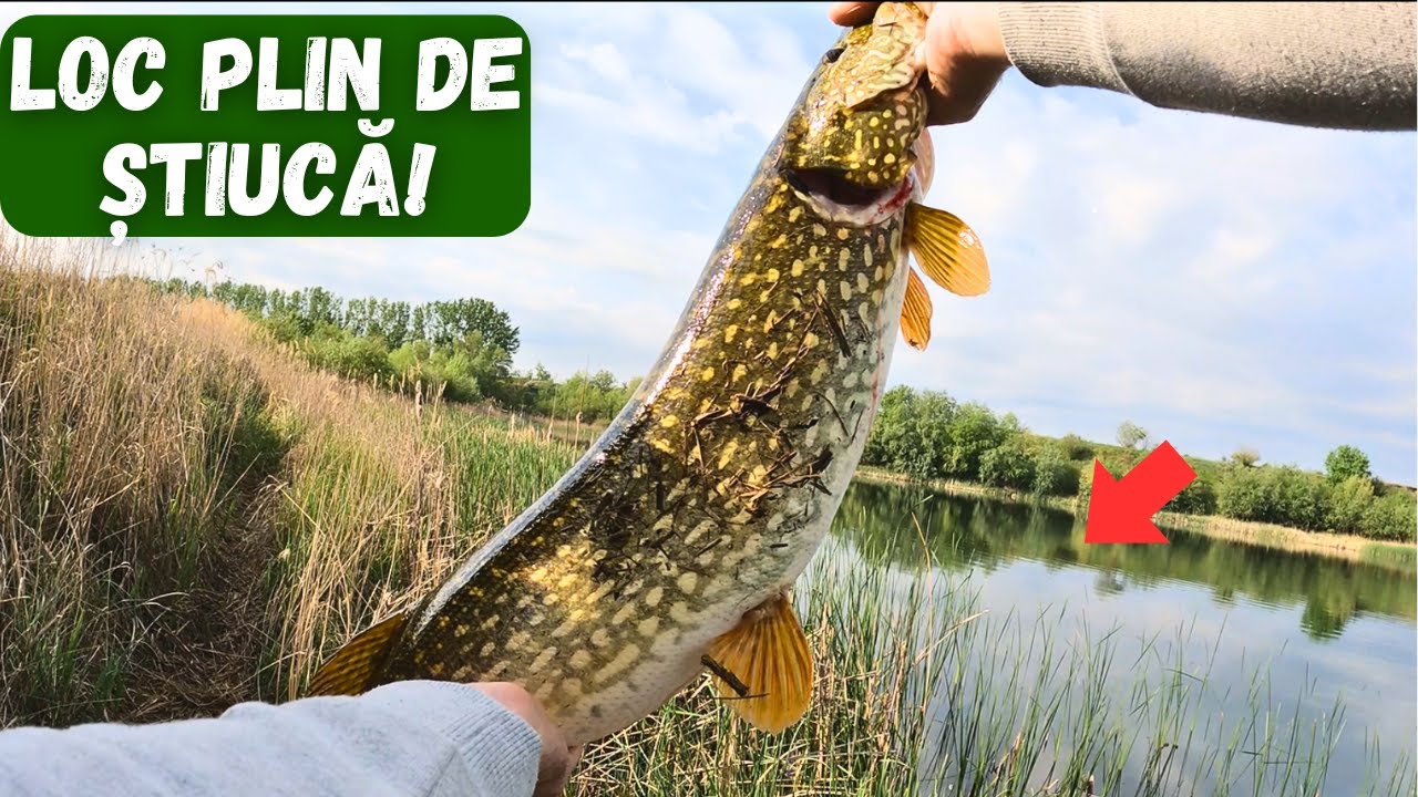 Am prins RECORD PERSONAL pe SALBATIC la STIUCA