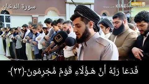 رعد الكردي- خشوع جميل في تلاوة سورة الدخان ...قمة الابداع