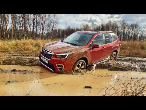 Wideo: Jak wyłączyć lampkę bezpieczeństwa w Subaru Forester?