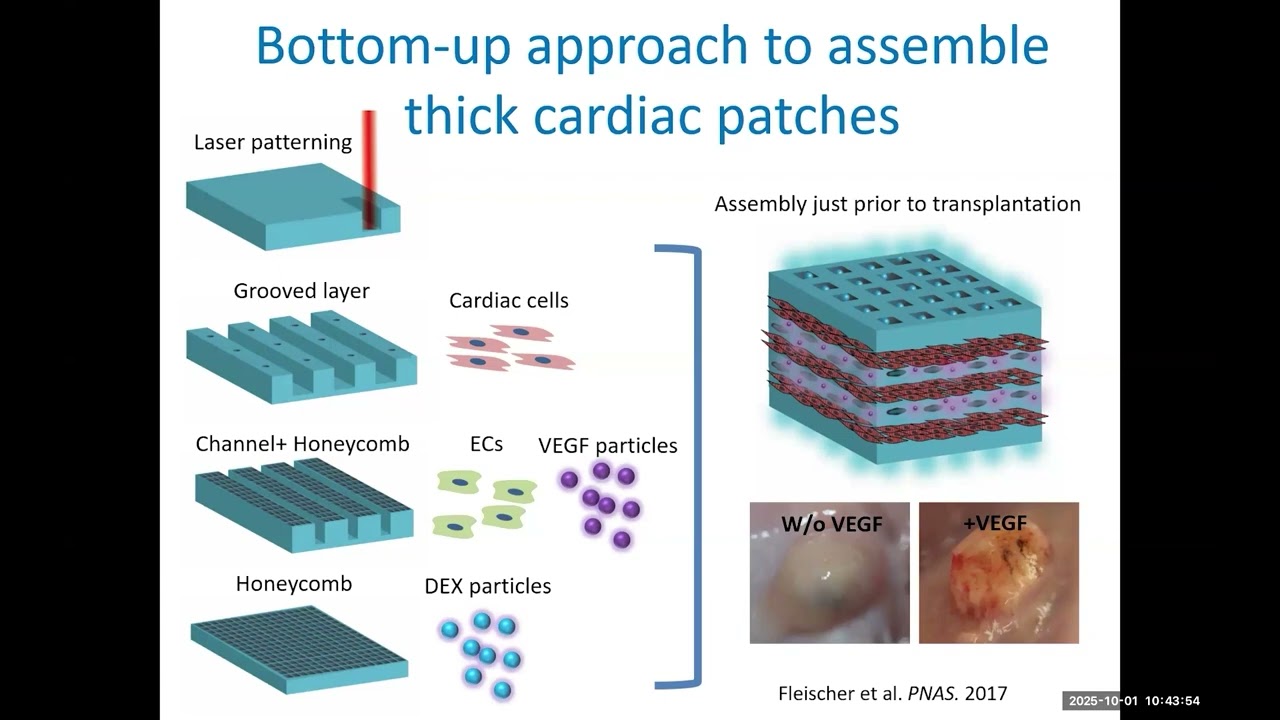From 3D Printing to Cyborg Tissues: Redefining Tissue Engineering: Prof. Tal Dvir