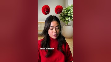 Why do we forget our dreams?