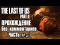 ОДНИ ИЗ НАС 2 прохождение без комментариев часть 21 В лесу | THE LAST OF US 2 walkthrough part 21