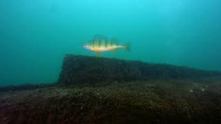 Diving Willow Springs Featuring Kyle Goodwin and Richard Huck