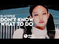 BLACKPINK (블랙핑크) – Don't Know What To Do | Hidden Vocals Harmonies & Adlibs