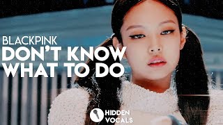 BLACKPINK (블랙핑크) – Don't Know What To Do | Hidden Vocals Harmonies & Adlibs
