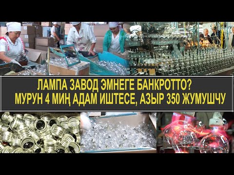 Video: Майлуу тапанчаны кантип майлап жатасыз?