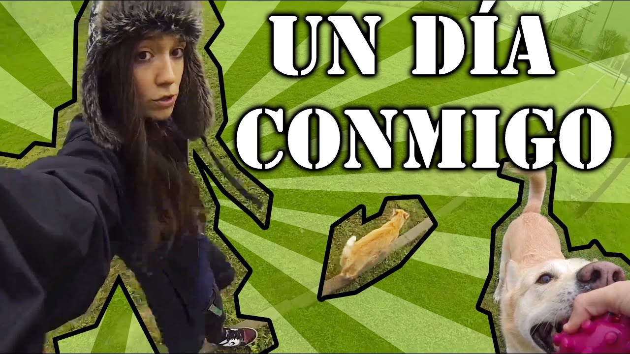 UN DÍA CON KOALA RABIOSO