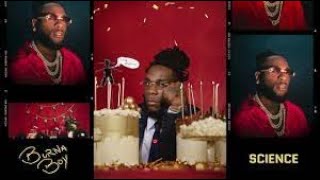 Burna Boy Love Damini Full Album