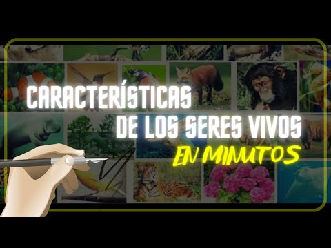 Las características de los seres vivos