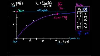 Michaelis-Menten Plot: Estimating Km