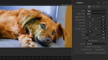 DaVinci Resolve Warp