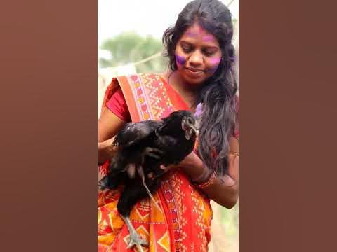 chicken holi