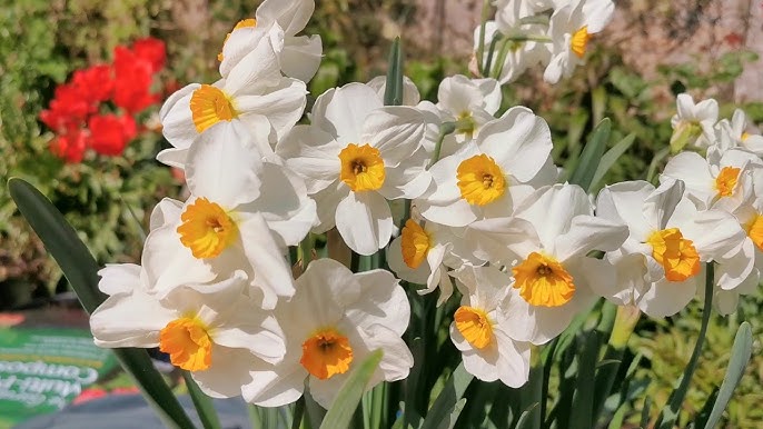 Ikki katta xonimlar bir yigit porno sikish