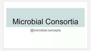 Microbial consortia / consortium