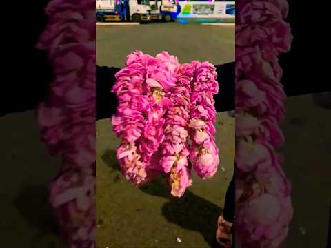 رجعت من الدمام للطايف عشان الحق مهرجان الورد بس اللي حصل صدمني بجد