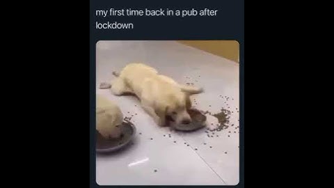 My first time back in the pub after lockdown #youtubeshorts #Shorts #Viral