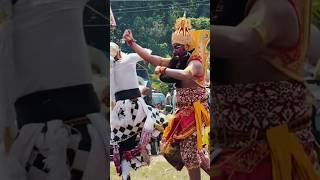 Anoman Dan Rahwana Berkelahi Di Kirab Donotirto shorts