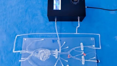 Packing for Detached Coronary Model and P120 pump | Pulsatile Pump | Detachable Coronary Model