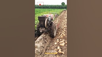 Potato Harvesting Driverless Power Tiller Machine