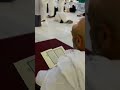 New Islamic video #shortvideo#islam#islam #shortvideo #electronicmusic #musictechno #memes #illusion