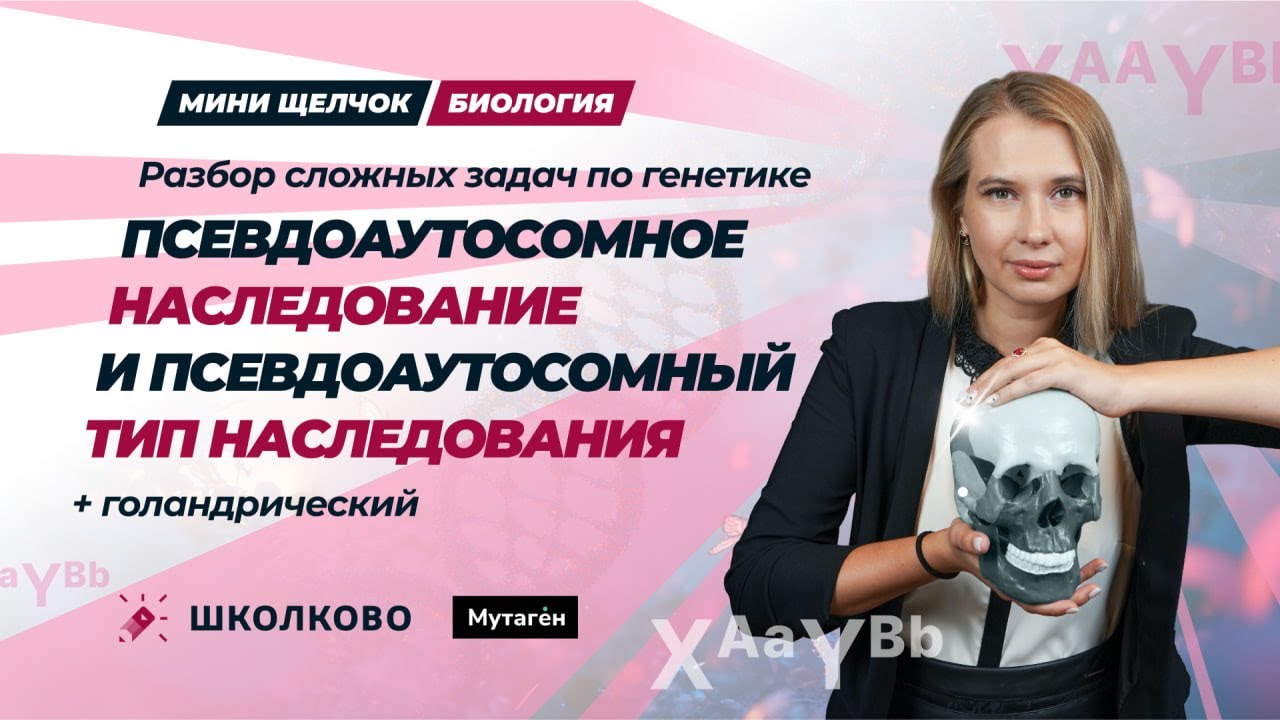 Разбор задач по генетике| Псевдоаутосомное наследование и тип наследования +голандрический|Полимерия
