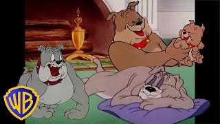 Tom I Jerry Po Polsku 🇵🇱 | Najlepsze Momenty Spike'a 🐶 | @Wbkidsinternational​
