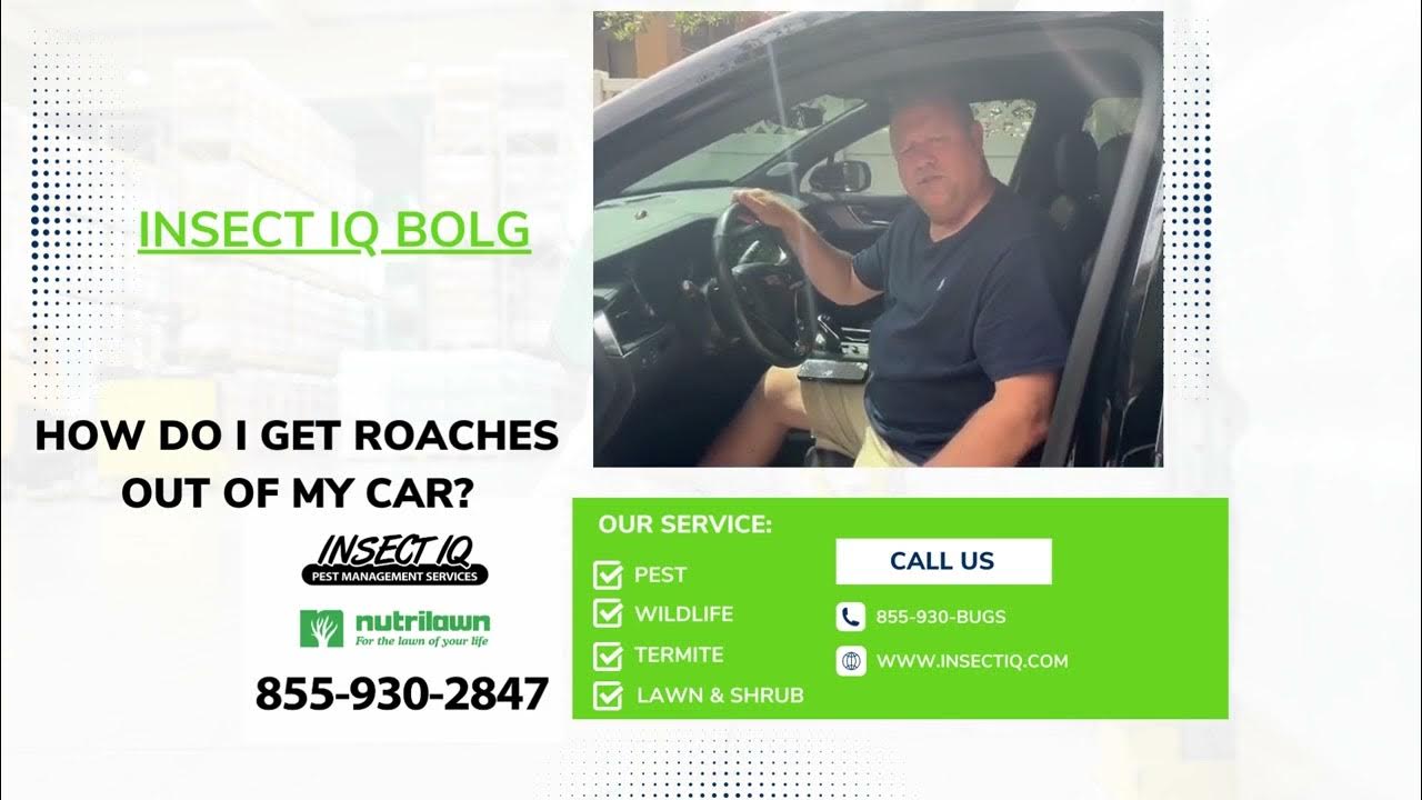 How Can I Get Roaches Out My Car