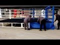 Smai boxing ring assembly