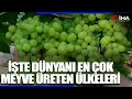 Dnyann en ok meyve reten lkesi in trkiye 4nc srada yer ald