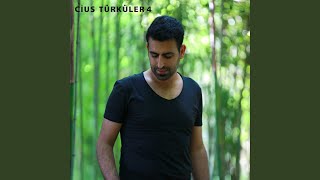 Dersim Dört Dağ İçinde Si