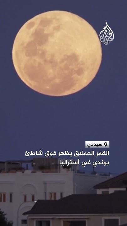        
 - نشر قبل 2 ساعة