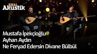 Mustafa İpekçioğlu & Ayhan Aydın - Ne Feryad Edersin Divane Bülbül