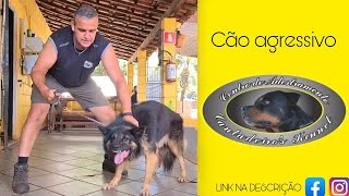 #2 IRON  PASTOR CAPA PRETA colocandoo em submissão | CÃO AGRESSIVO