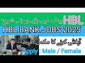 HBL Bank Jobs 2025 – Apply Online from Home | Latest Habib Bank Limited Vacanciesڑ