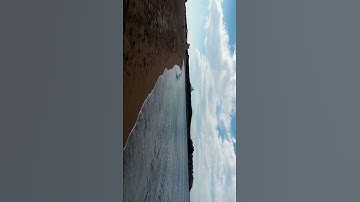 سورة الزلزلة بصوت الشيخ ناصر القطامي