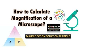 How to calculate Magnification of Microscope using Magnification Equation Triangle?