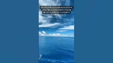 سورة الشرح /  الشيخ وسام الشمري