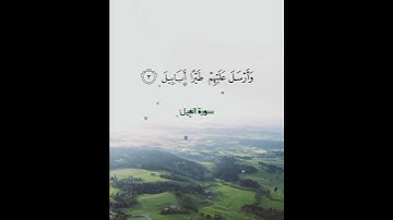 سورة الفيل _ فارس عباد