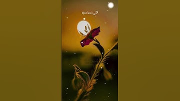 خالدالجليل #اكسبلور #سورة_يوسف#explore #راحة_نفسية #اطمأن #الله