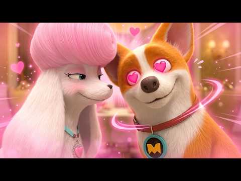 Moco's in Love! 💖🐩 | Flying Moco Full Episodes 🐶 | Funny Cartoon for Kids