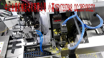 Fully Automatic Wire Stripping Twisting Crimping and Soldering Machine