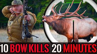 10 BEST HUNTING KILL SHOTS in 20 Minutes - Hunting Compilation