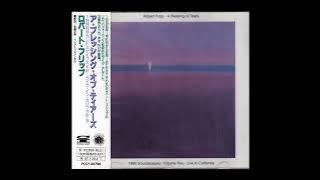 (432 HZ) Robert Fripp - A Blessing of Tears [Full Album]